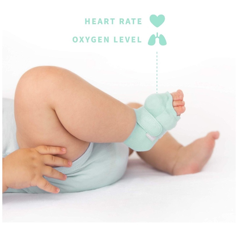Owlet Sock 2